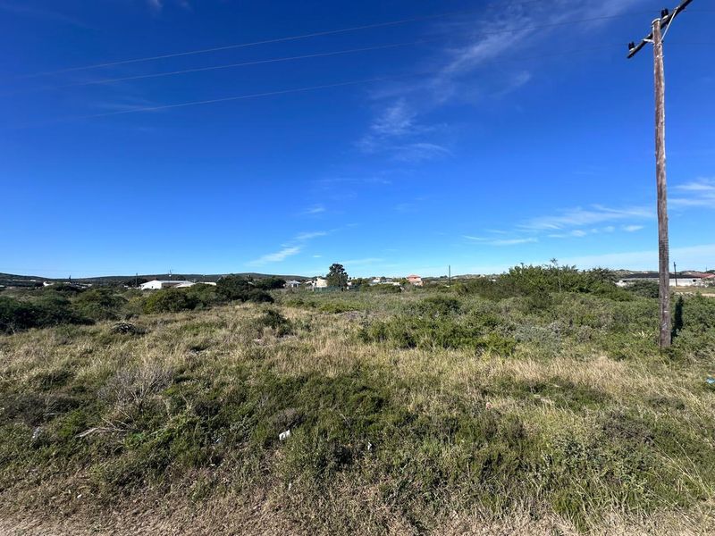 A vacant residential plot featuring natural vegetation and an existing utility pole, offering a clear view of the surrounding neighborhood landscape.
