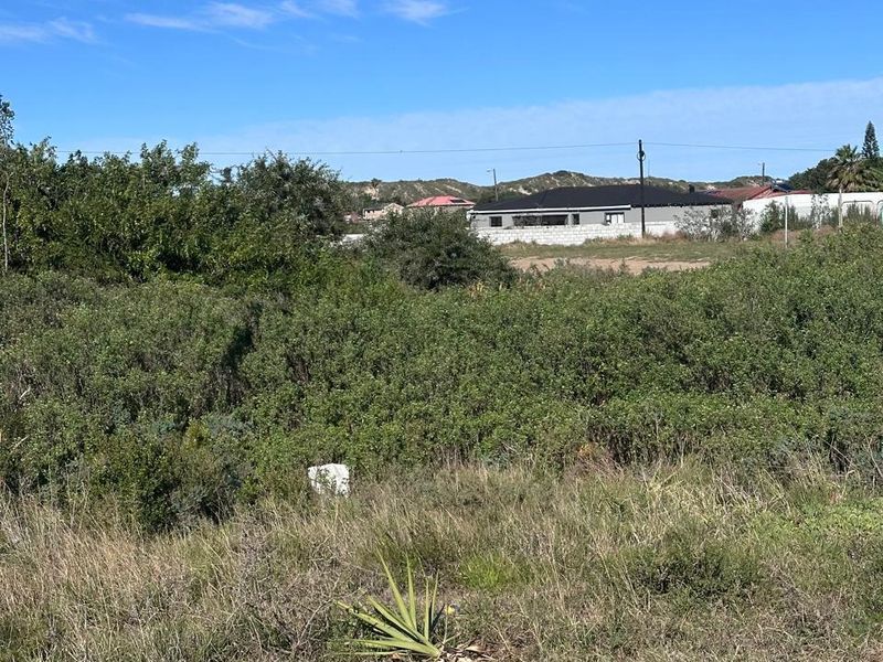 A view of a vacant residential plot covered in natural vegetation, situated in a developed neighborhood with surrounding residential properties.