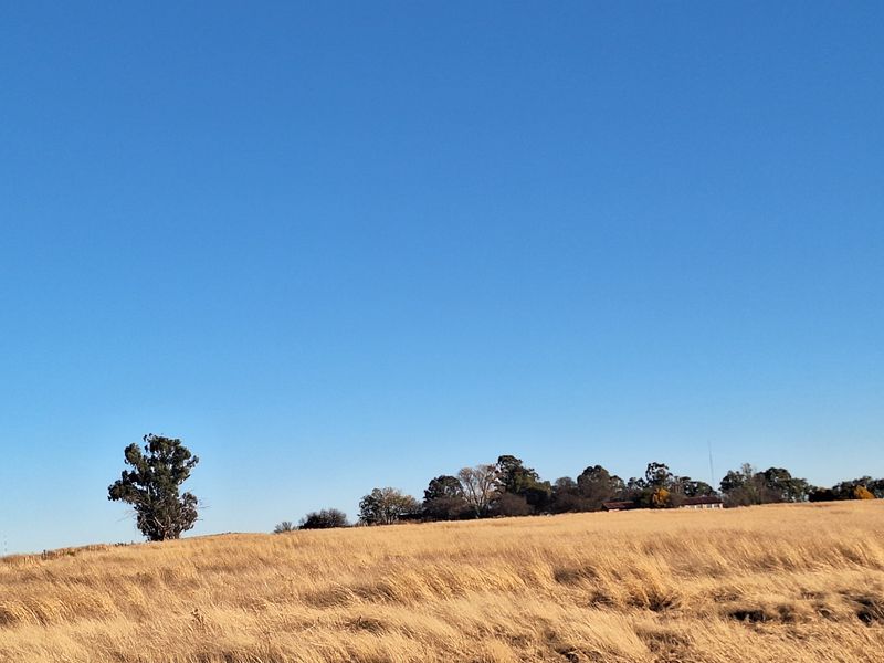 Farm with river front for sale - Photo 4