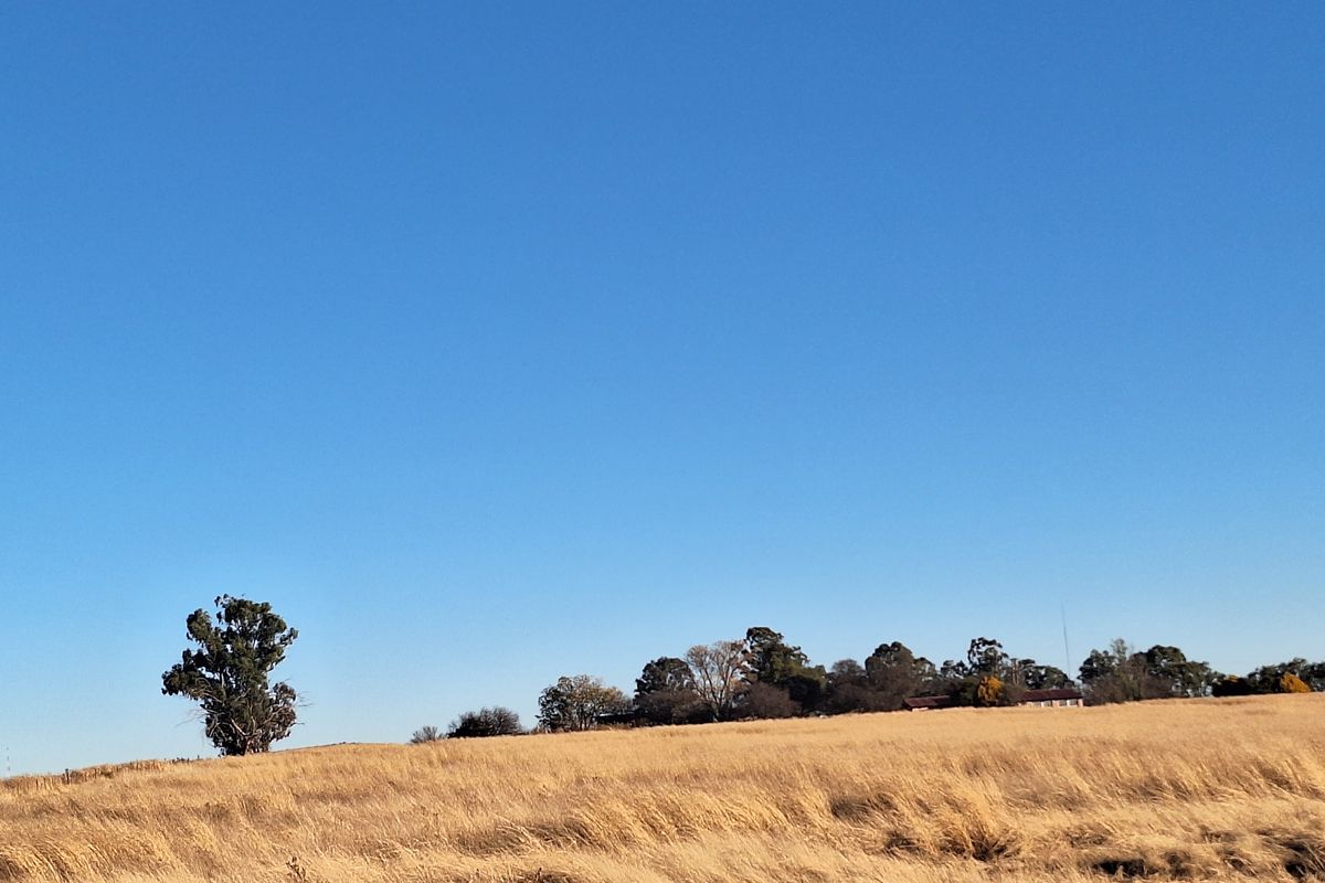 Farm with river front for sale - Photo 4