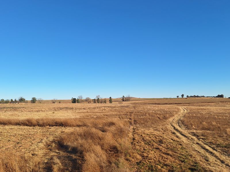 Farm with river front for sale - Photo 8