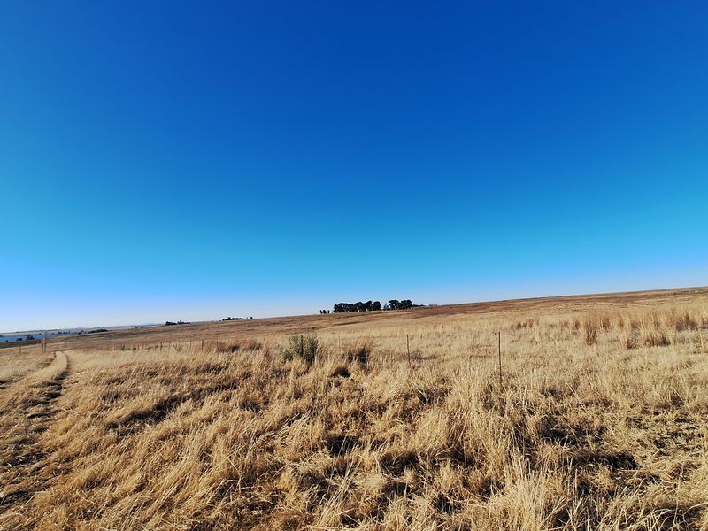 Farm with river front for sale - Photo 5