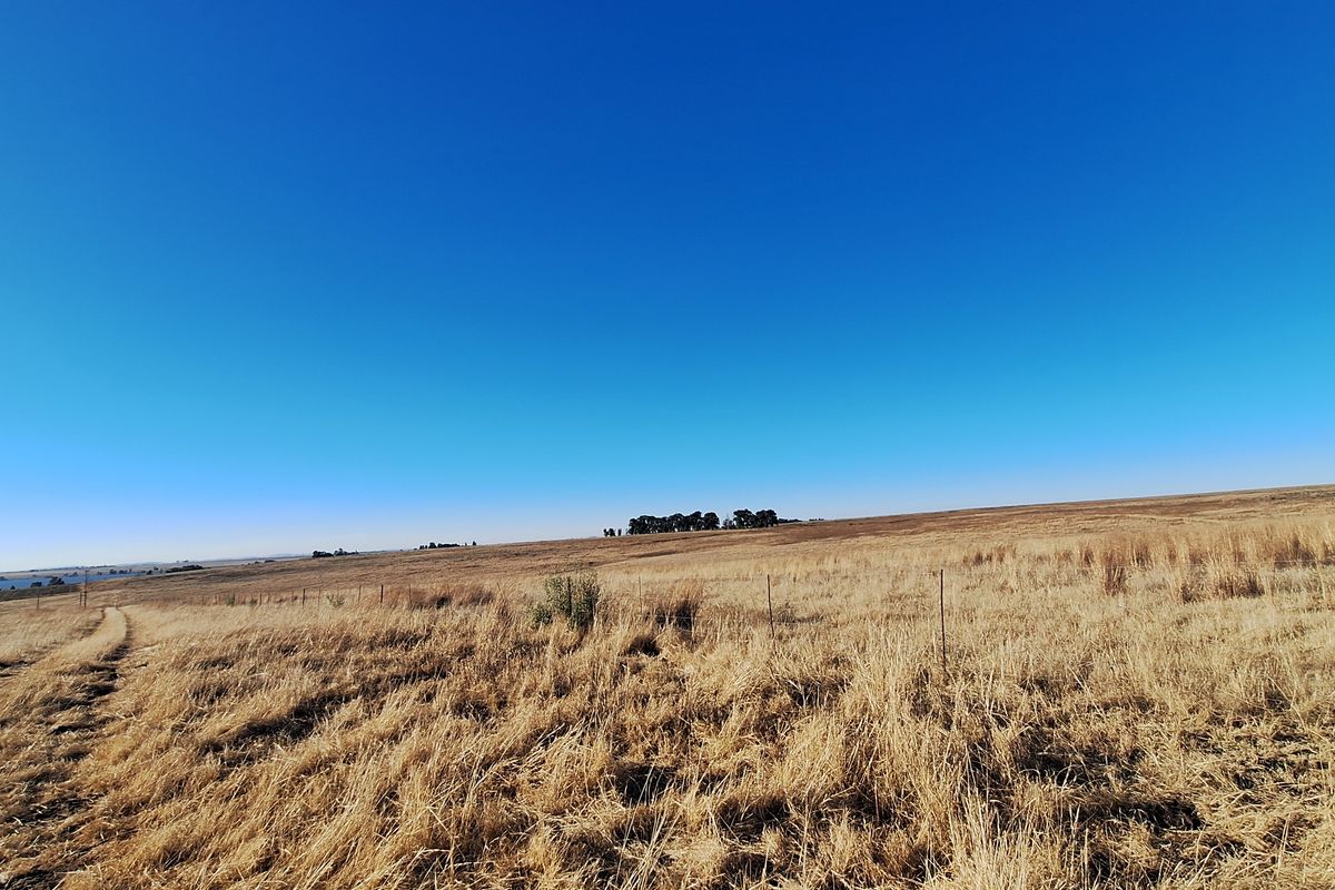 Farm with river front for sale - Photo 5