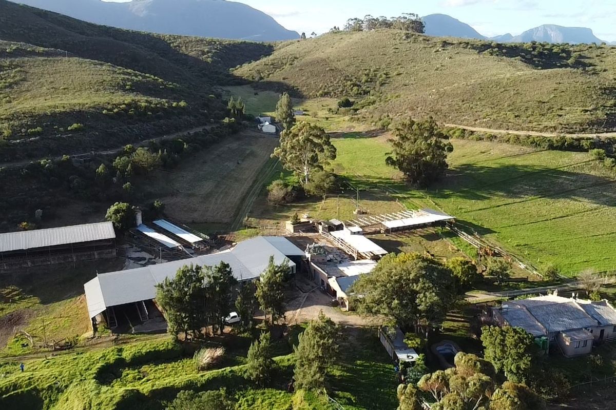 Dairy/Irrigation Farm for Sale - Photo 3