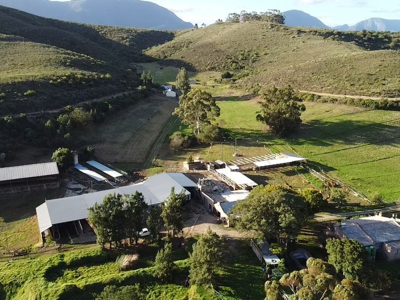 Dairy/Irrigation Farm for Sale - Photo 7