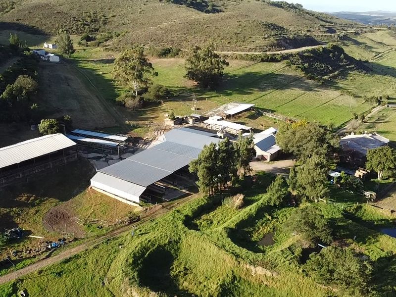 Dairy/Irrigation Farm for Sale - Photo 6