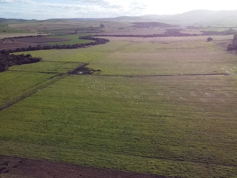 Dairy/Irrigation Farm for Sale - Photo 10