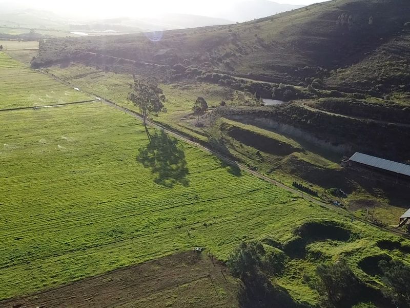 Dairy/Irrigation Farm for Sale - Photo 9