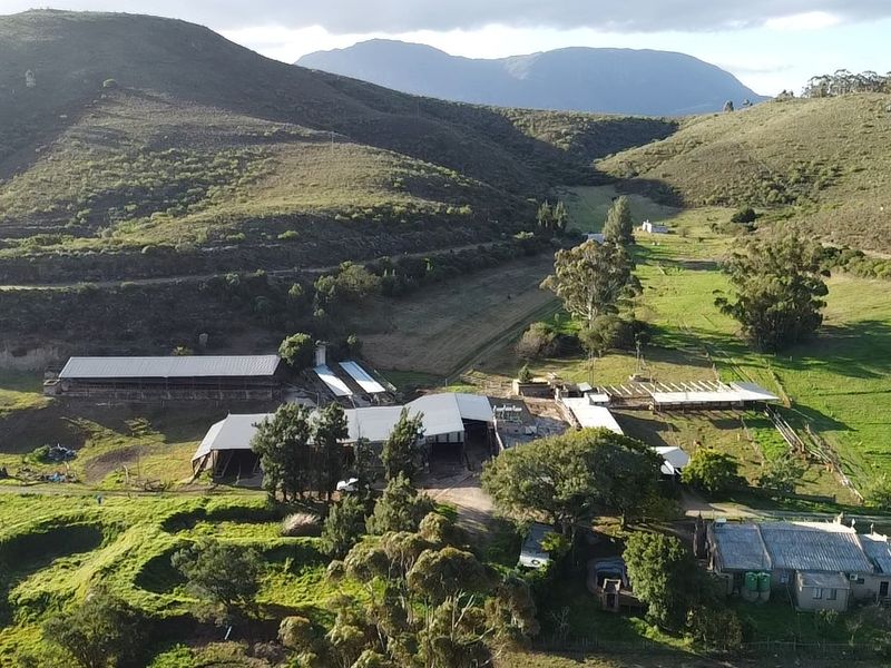 Dairy/Irrigation Farm for Sale - Photo 8