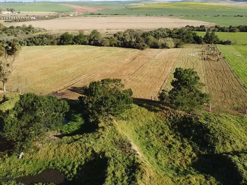 Dairy/Irrigation Farm for Sale - Photo 5