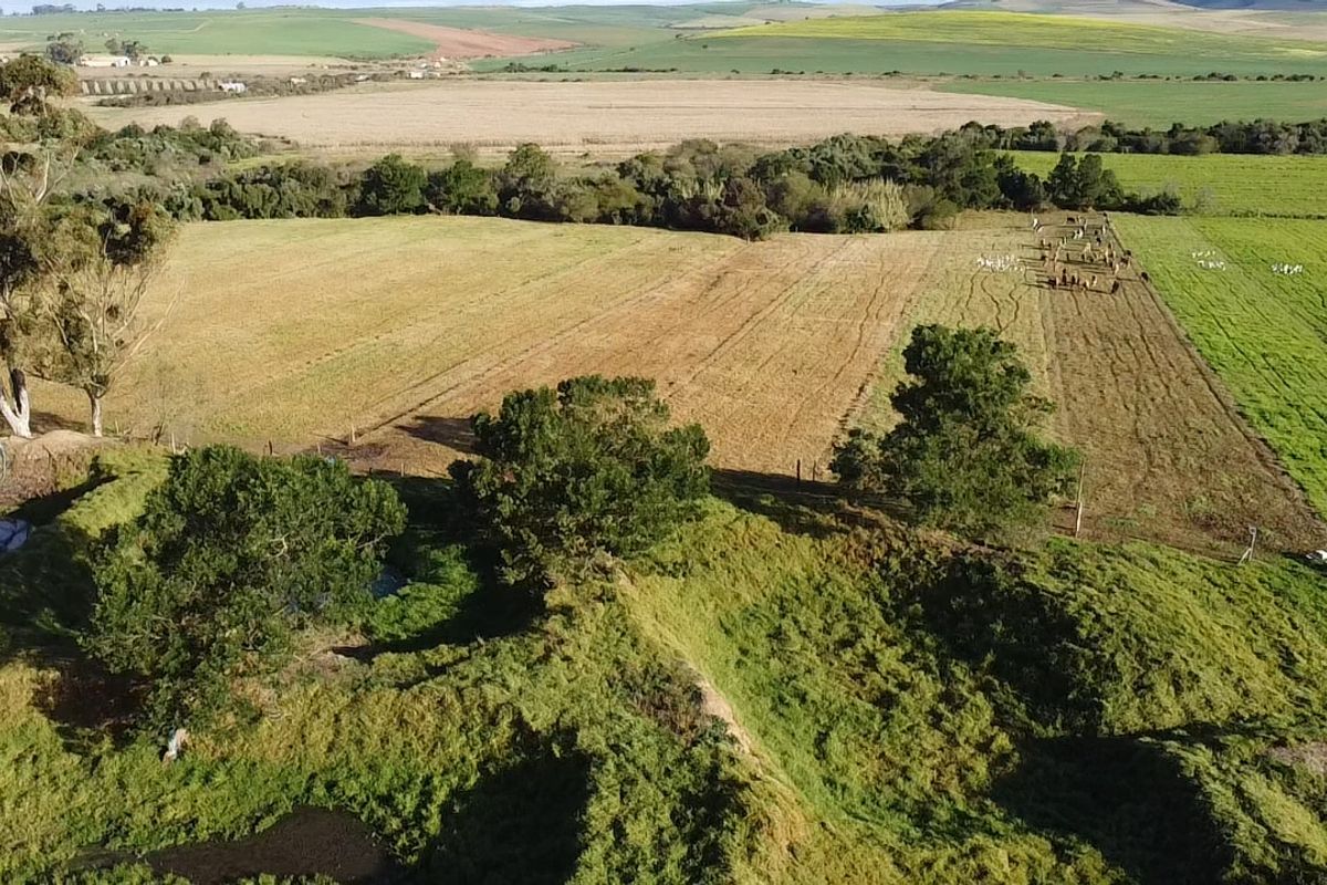 Dairy/Irrigation Farm for Sale - Photo 5