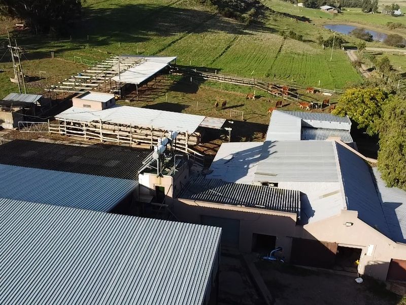 Dairy/Irrigation Farm for Sale - Photo 3