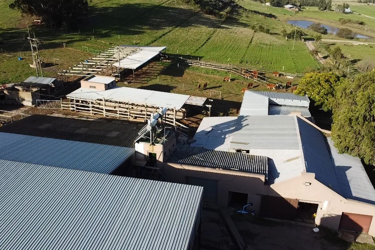 Dairy/Irrigation Farm for Sale - Photo 3