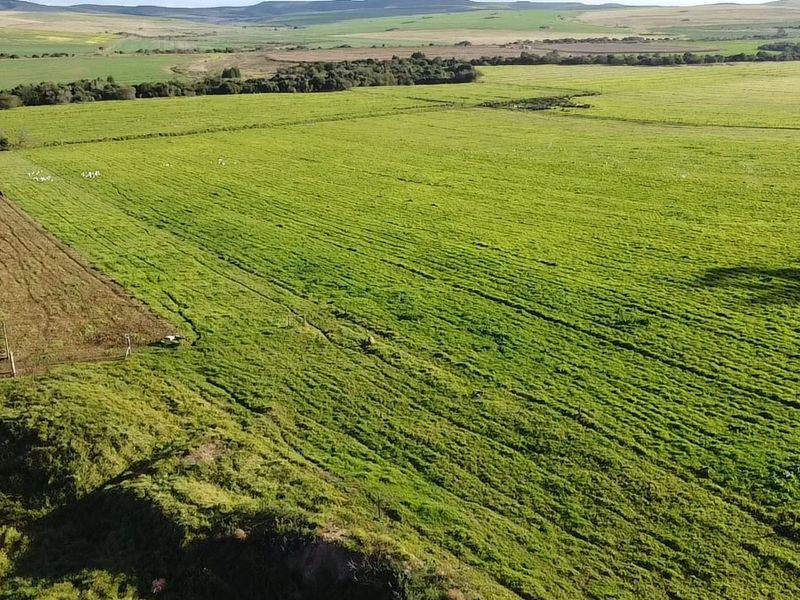 Dairy/Irrigation Farm for Sale - Photo 2