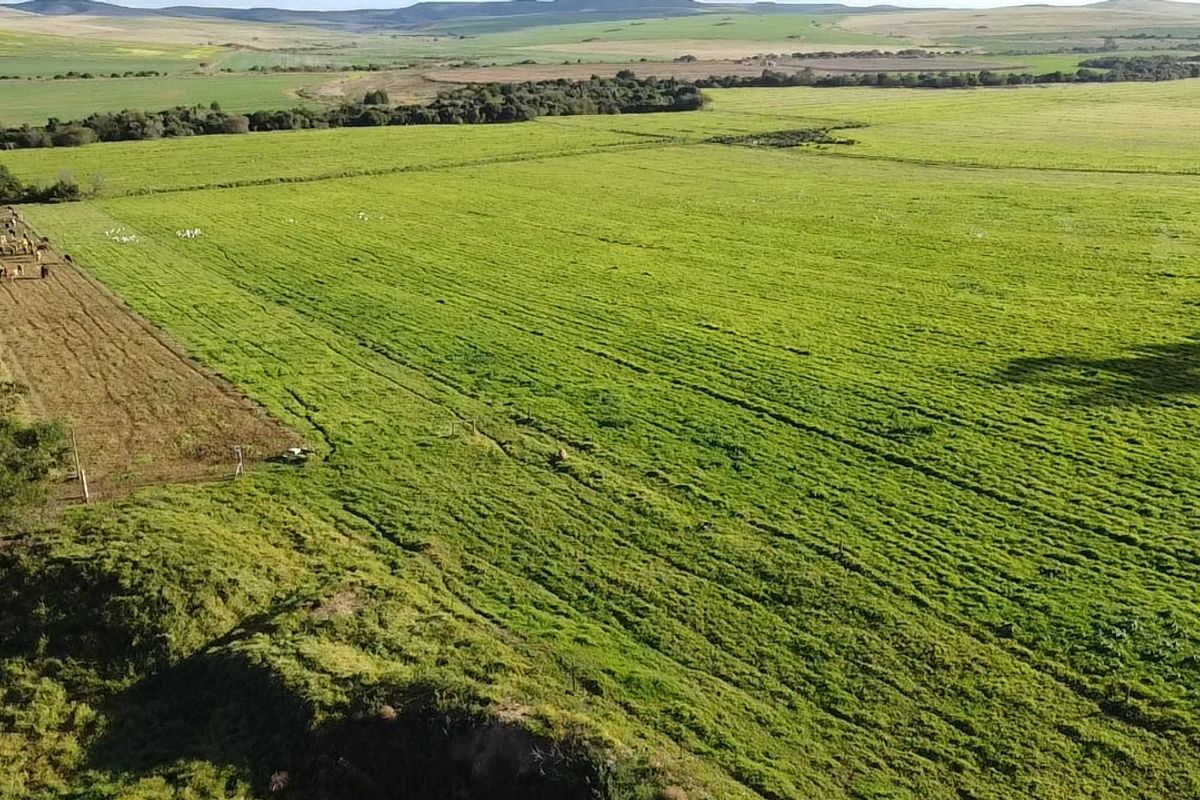 Dairy/Irrigation Farm for Sale - Photo 2