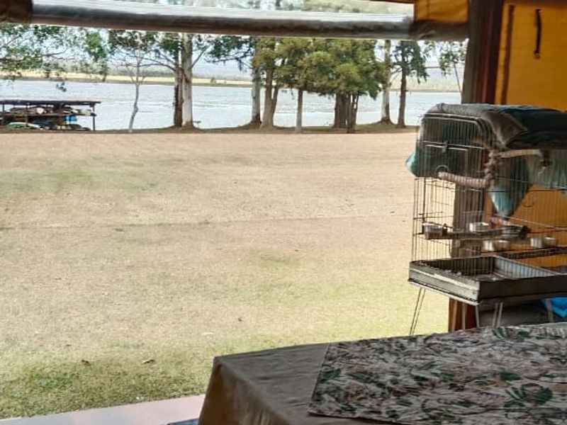 Tranquil Lakeside Living at Peatties Lake - Photo 8