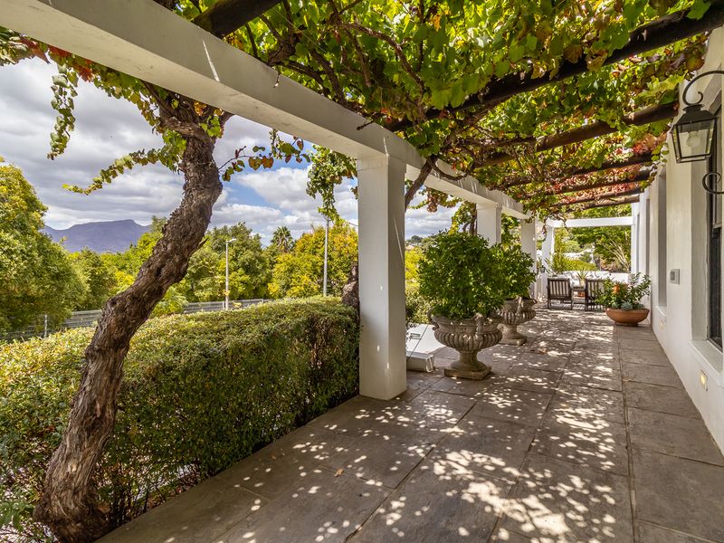 Sophisticated Family Home in Sought After Suburb - Photo 7