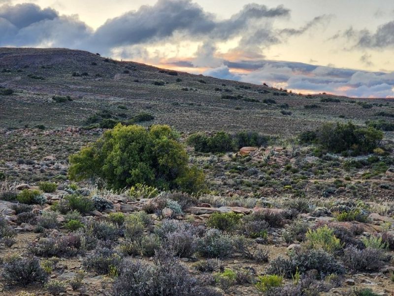KAROO FARM LAINGSBURG  1475 Ha - Photo 7