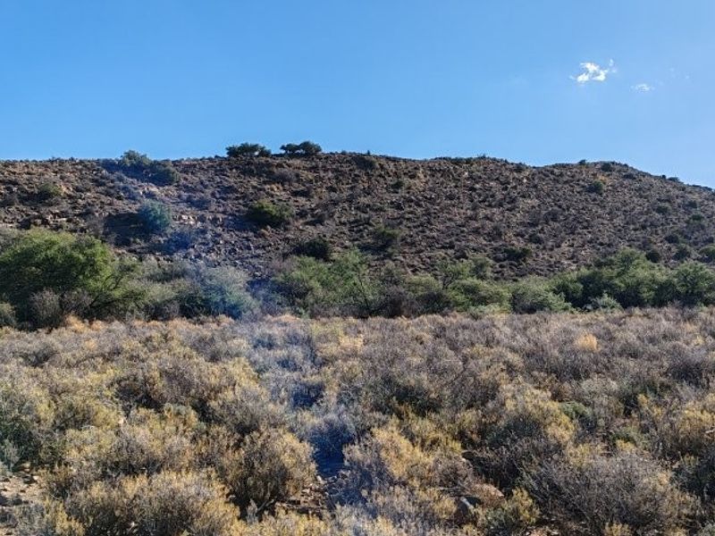 KAROO FARM LAINGSBURG  1475 Ha - Photo 6