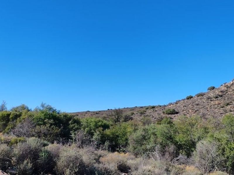 KAROO FARM LAINGSBURG  1475 Ha - Photo 5