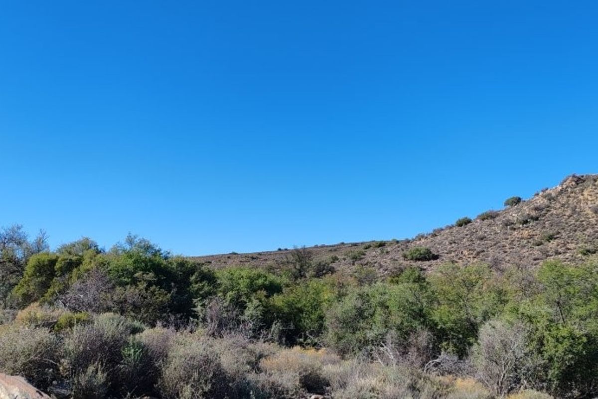 KAROO FARM LAINGSBURG  1475 Ha - Photo 5