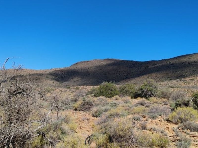 KAROO FARM LAINGSBURG  1475 Ha - Photo 2