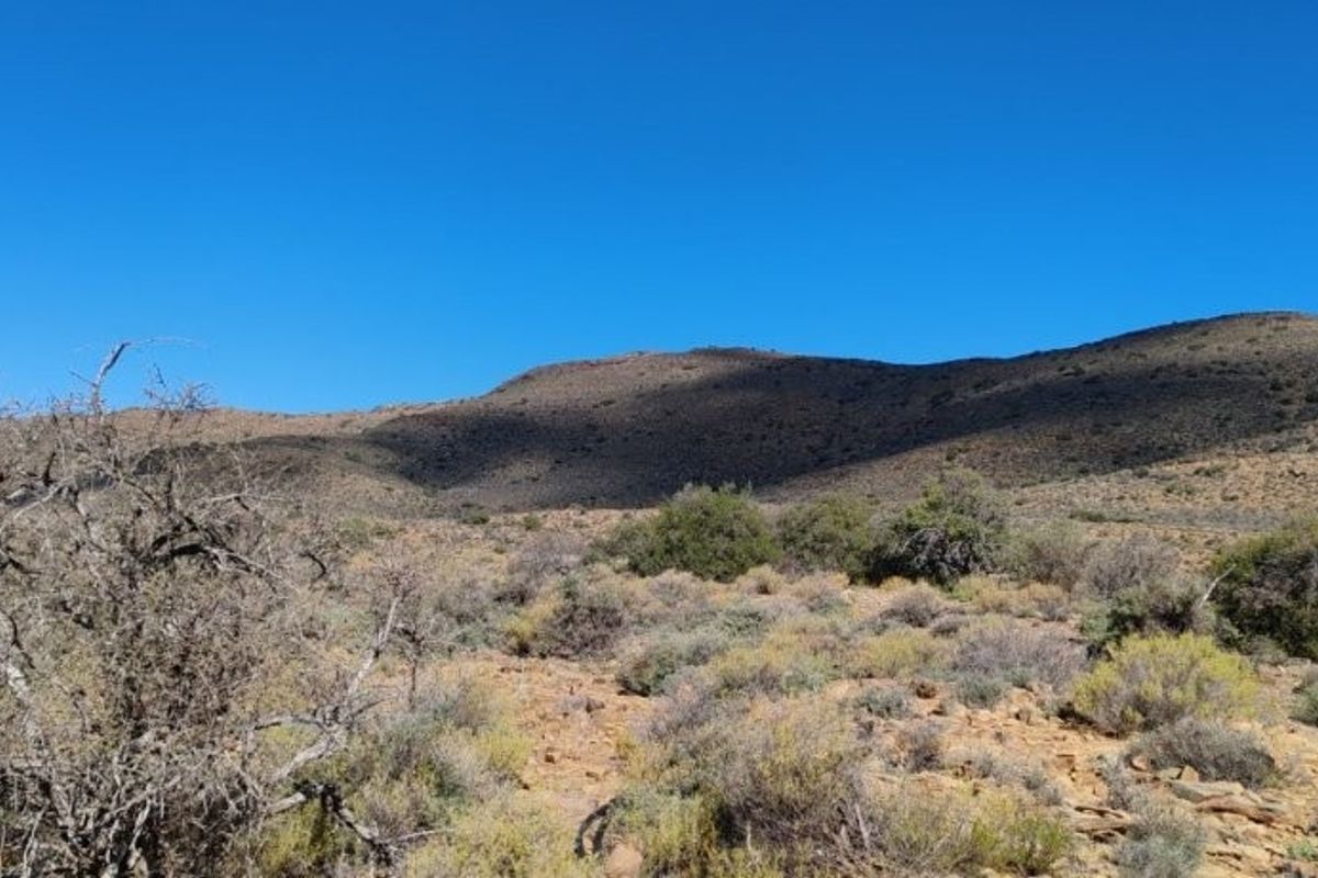 KAROO FARM LAINGSBURG  1475 Ha - Photo 2