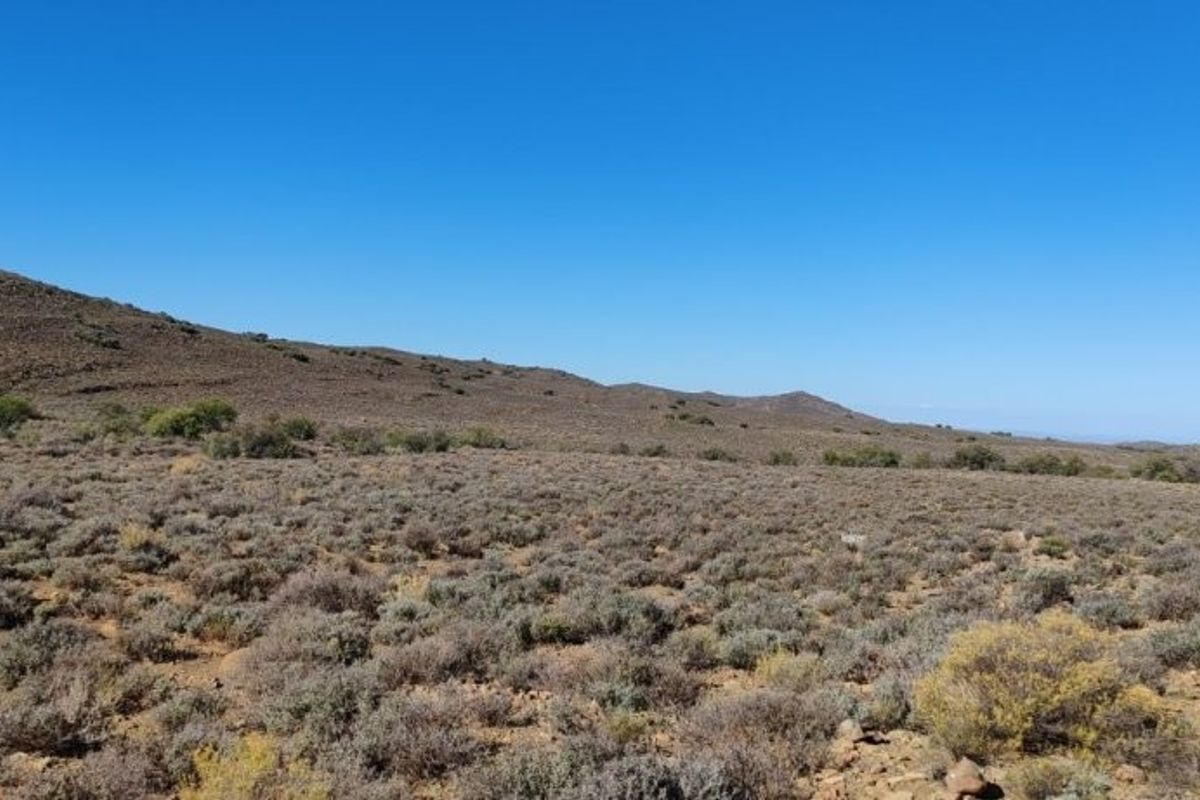 KAROO FARM LAINGSBURG  1475 Ha - Photo 3