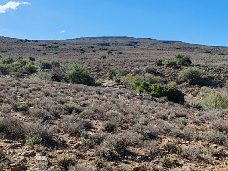 KAROO FARM LAINGSBURG  1475 Ha - Photo 4