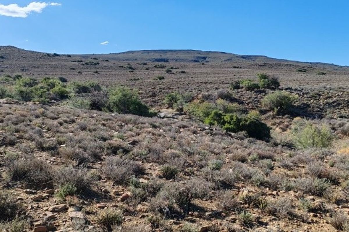 KAROO FARM LAINGSBURG  1475 Ha - Photo 4
