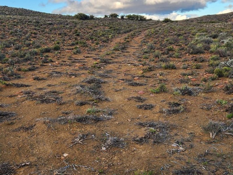KAROO FARM LAINGSBURG  1475 Ha - Photo 8