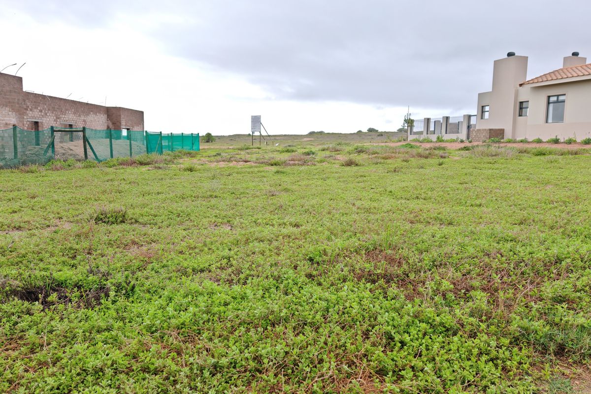 No Transfer Duty in a High-Growth areain Langebaan Country Estate - Photo 3