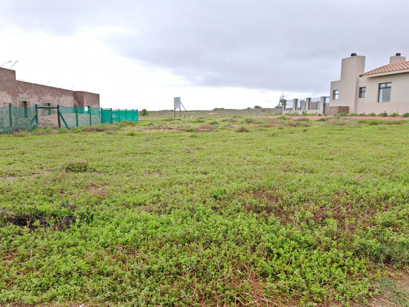 No Transfer Duty in a High-Growth areain Langebaan Country Estate - Photo 3