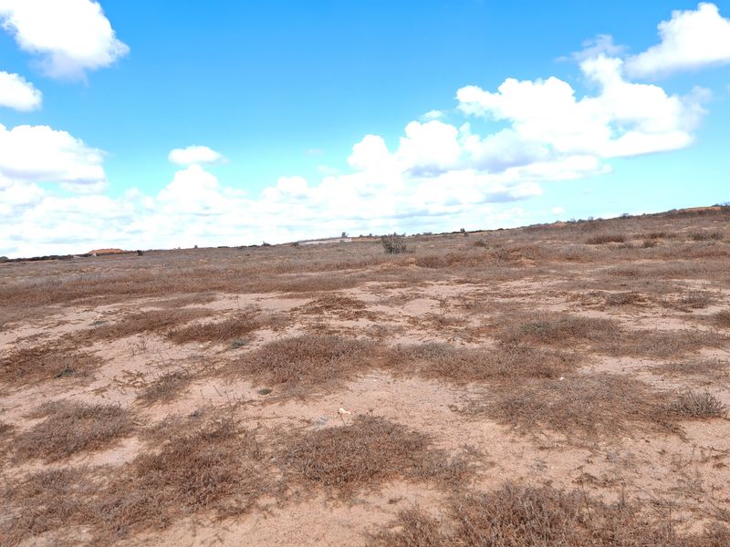 Prime Stand on the Clubhouse Side in Langebaan Country Estate - Photo 4