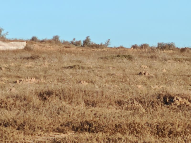 Prime Stand on the Clubhouse Side in Langebaan Country Estate - Photo 10