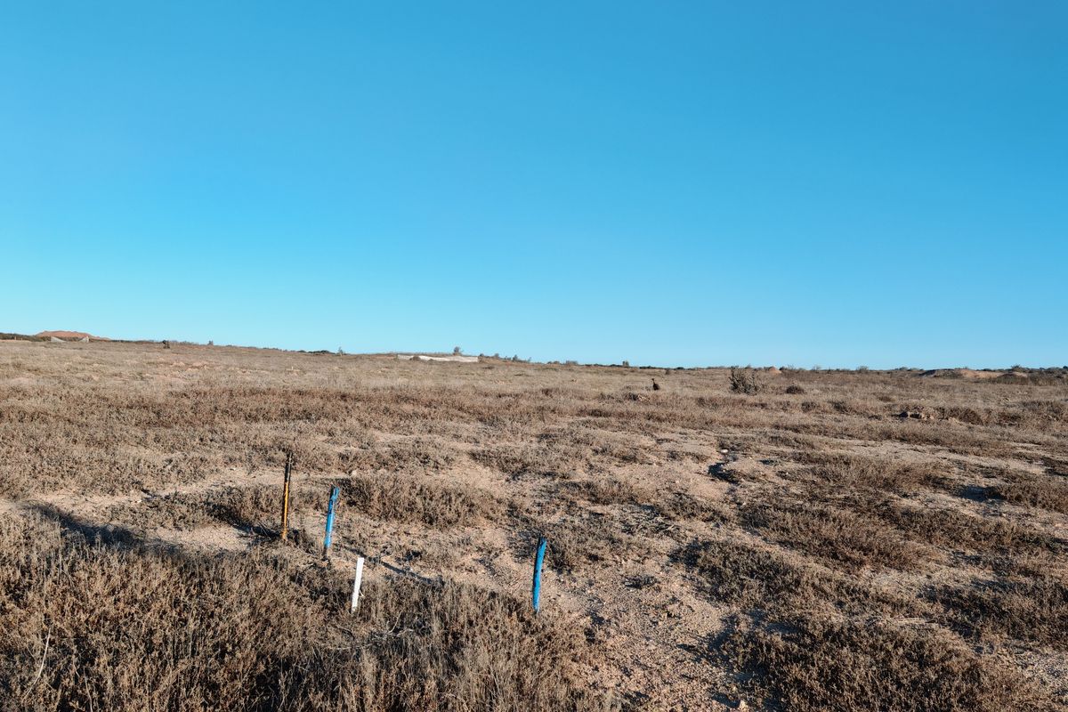 A wide-angle view of a vacant residential plot featuring natural vegetation and visible survey markers.
