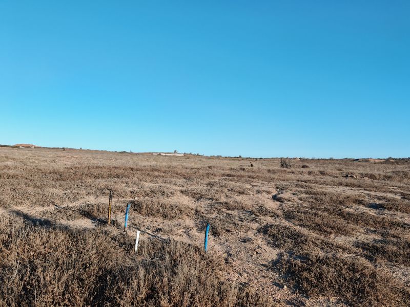 Prime Stand on the Clubhouse Side in Langebaan Country Estate - Photo 10