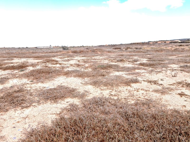 Prime Stand on the Clubhouse Side in Langebaan Country Estate - Photo 8