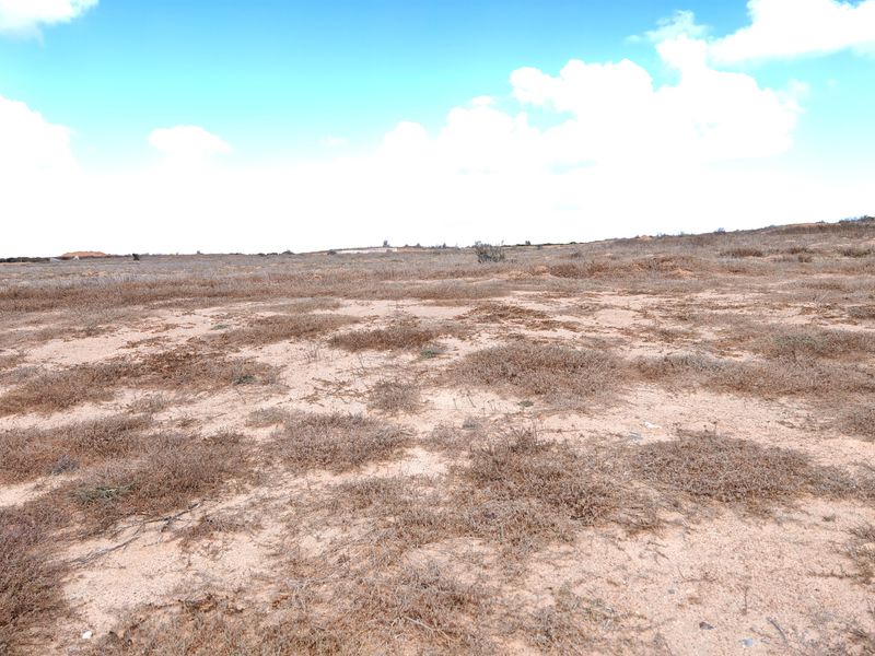 Prime Stand on the Clubhouse Side in Langebaan Country Estate - Photo 7