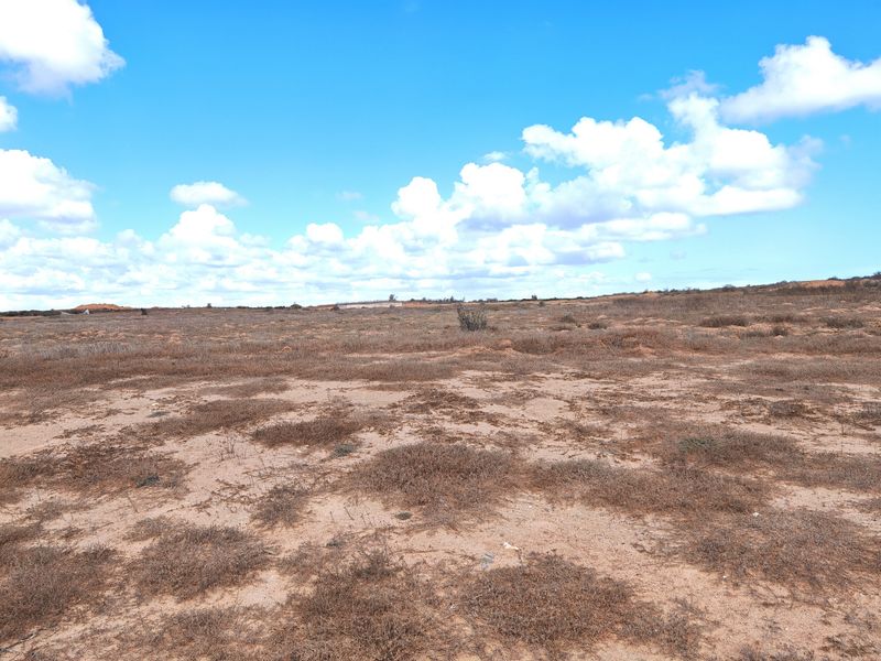 Prime Stand on the Clubhouse Side in Langebaan Country Estate - Photo 6
