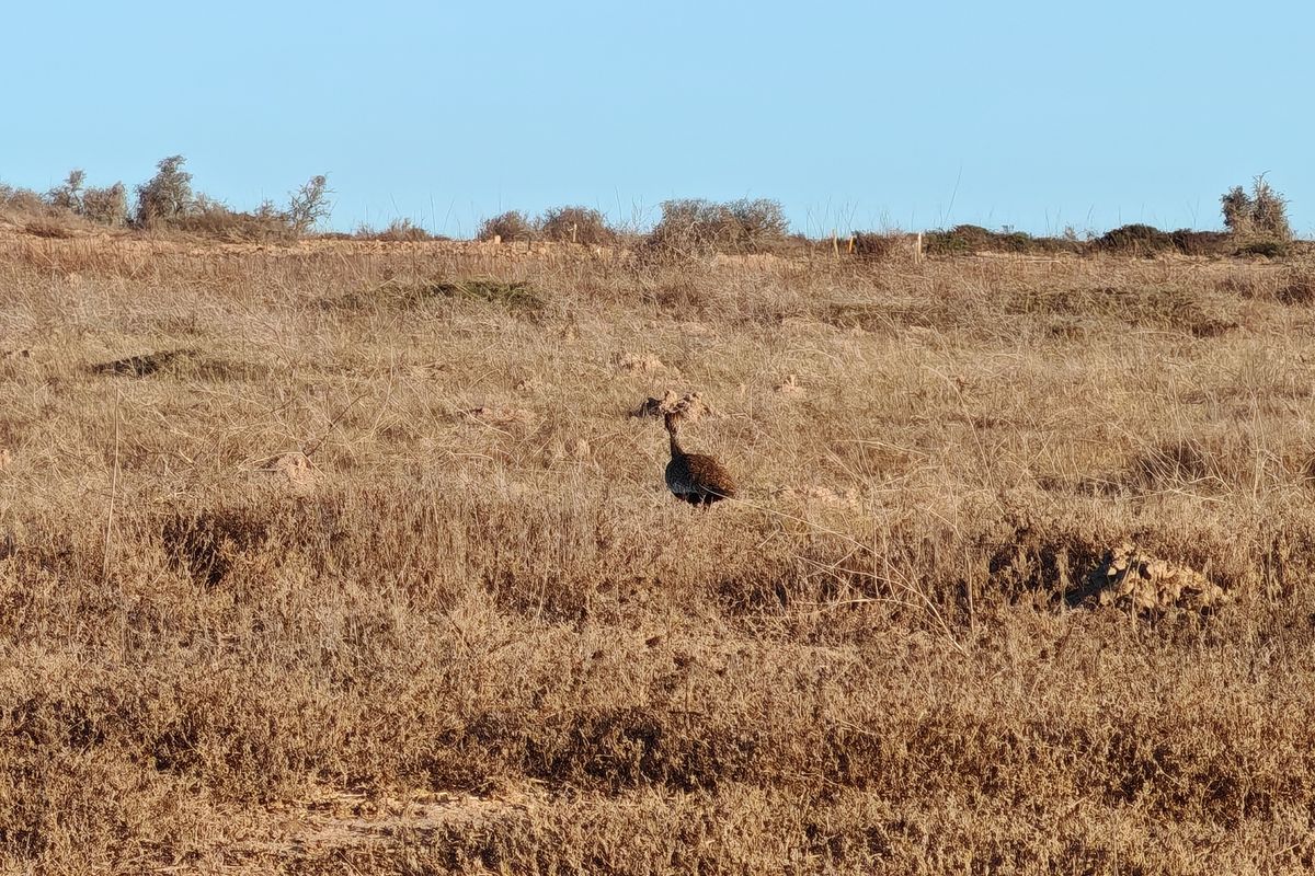 Prime Stand on the Clubhouse Side in Langebaan Country Estate - Photo 3