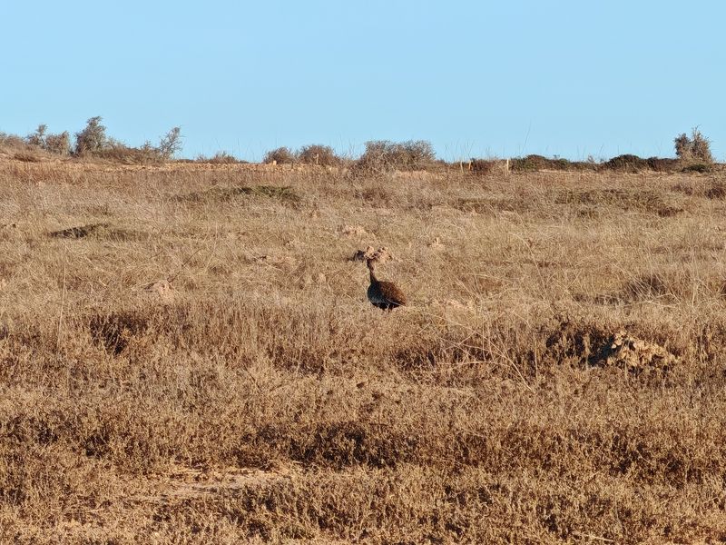 Prime Stand on the Clubhouse Side in Langebaan Country Estate - Photo 3