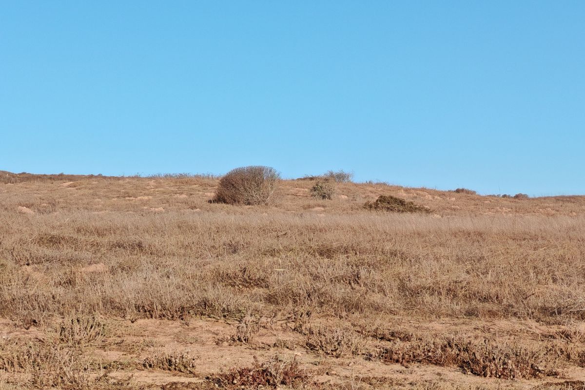 Prime West-Facing Plot with Lagoon Views in Langebaan Country Estate - Photo 5