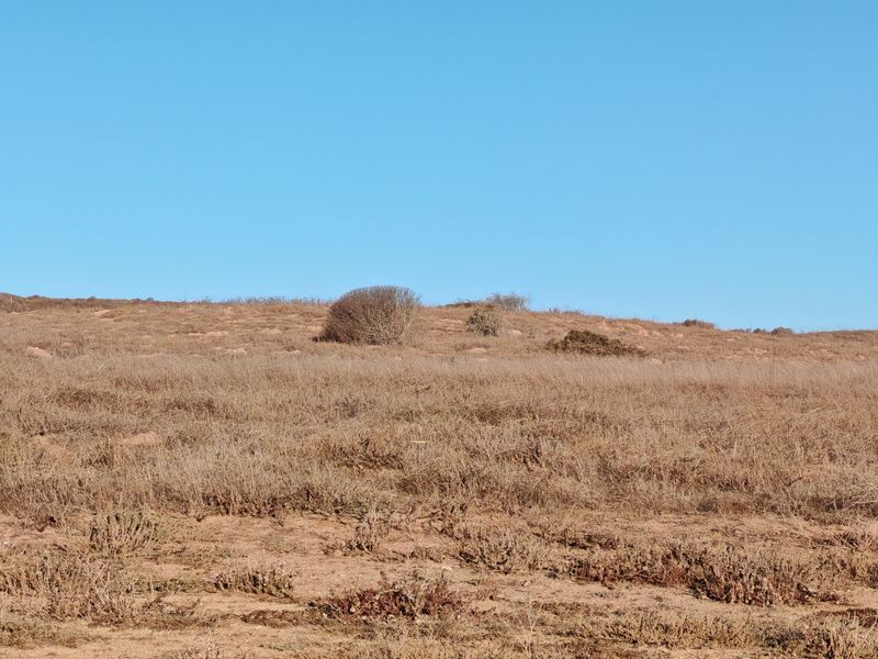 Prime West-Facing Plot with Lagoon Views in Langebaan Country Estate - Photo 5