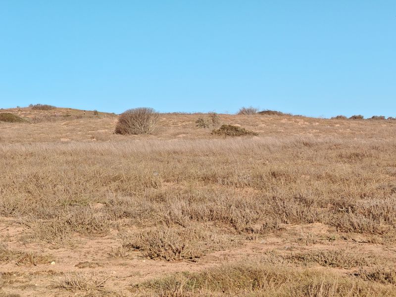 Prime West-Facing Plot with Lagoon Views in Langebaan Country Estate - Photo 6