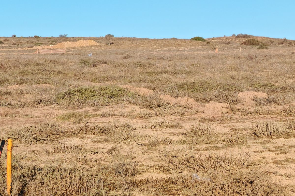 Prime West-Facing Plot with Lagoon Views in Langebaan Country Estate - Photo 4