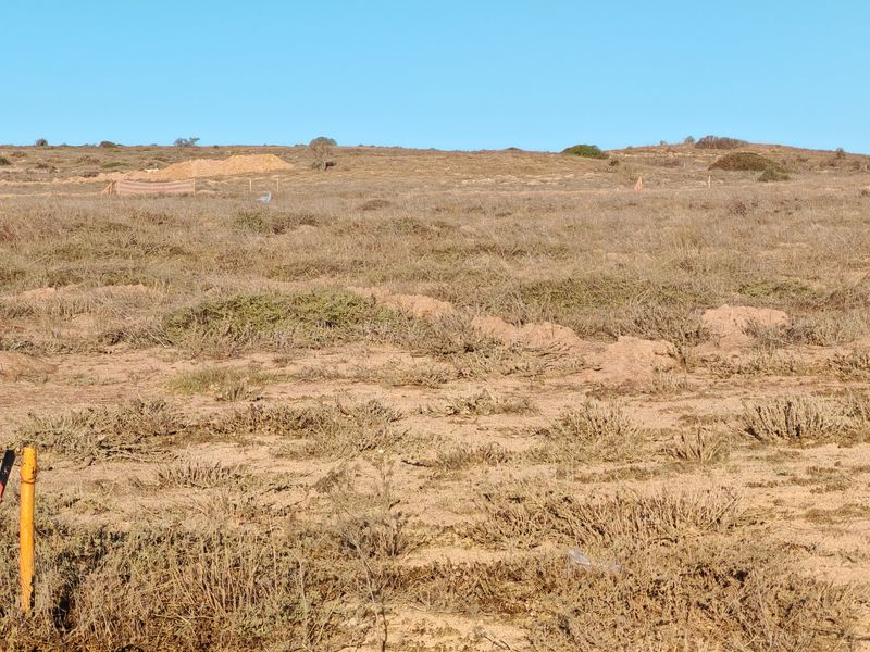 Prime West-Facing Plot with Lagoon Views in Langebaan Country Estate - Photo 4