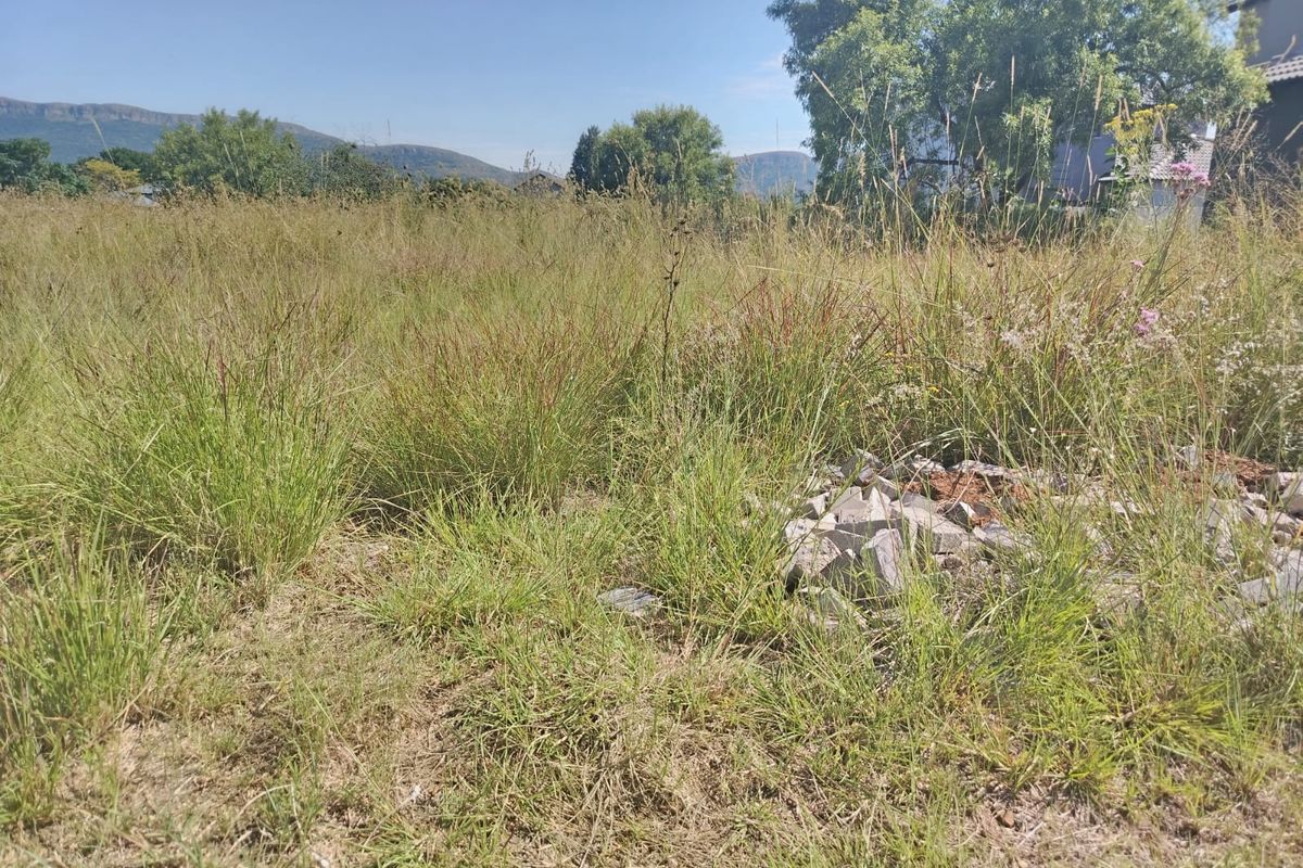 A vacant residential plot featuring natural grass cover and distant mountain views, offering a blank canvas for future development.