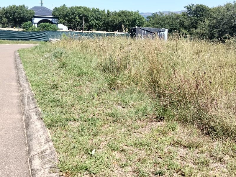 A vacant residential plot featuring natural grass coverage, adjacent to a paved road with curb infrastructure in a developed estate setting.