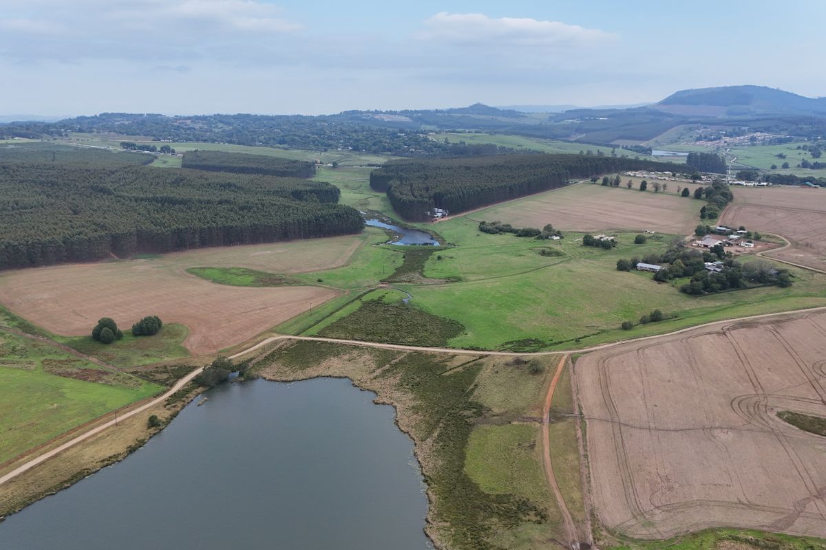 Exclusive 1-Hectare Country Living on Prestigious Hilton College Road - Photo 2